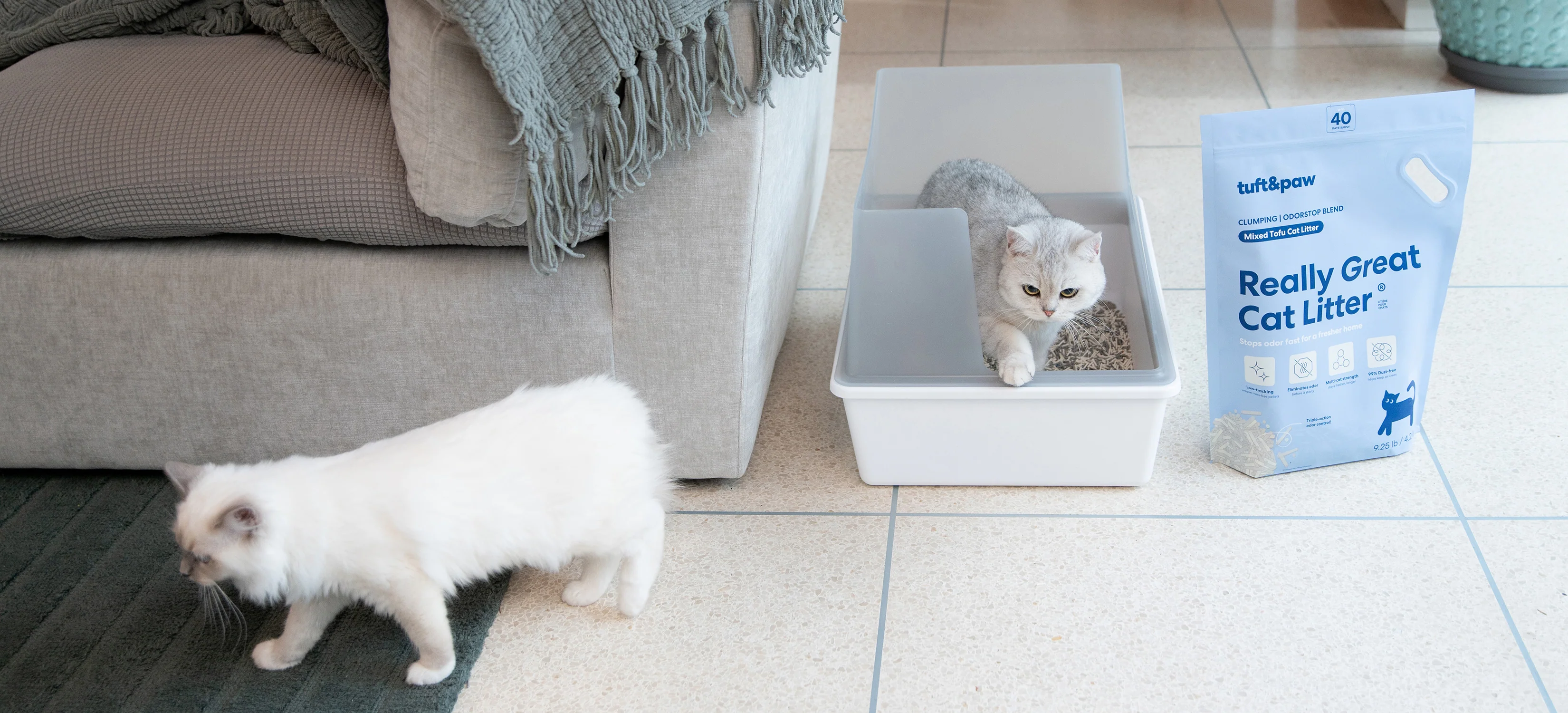 Welcome to Our Store